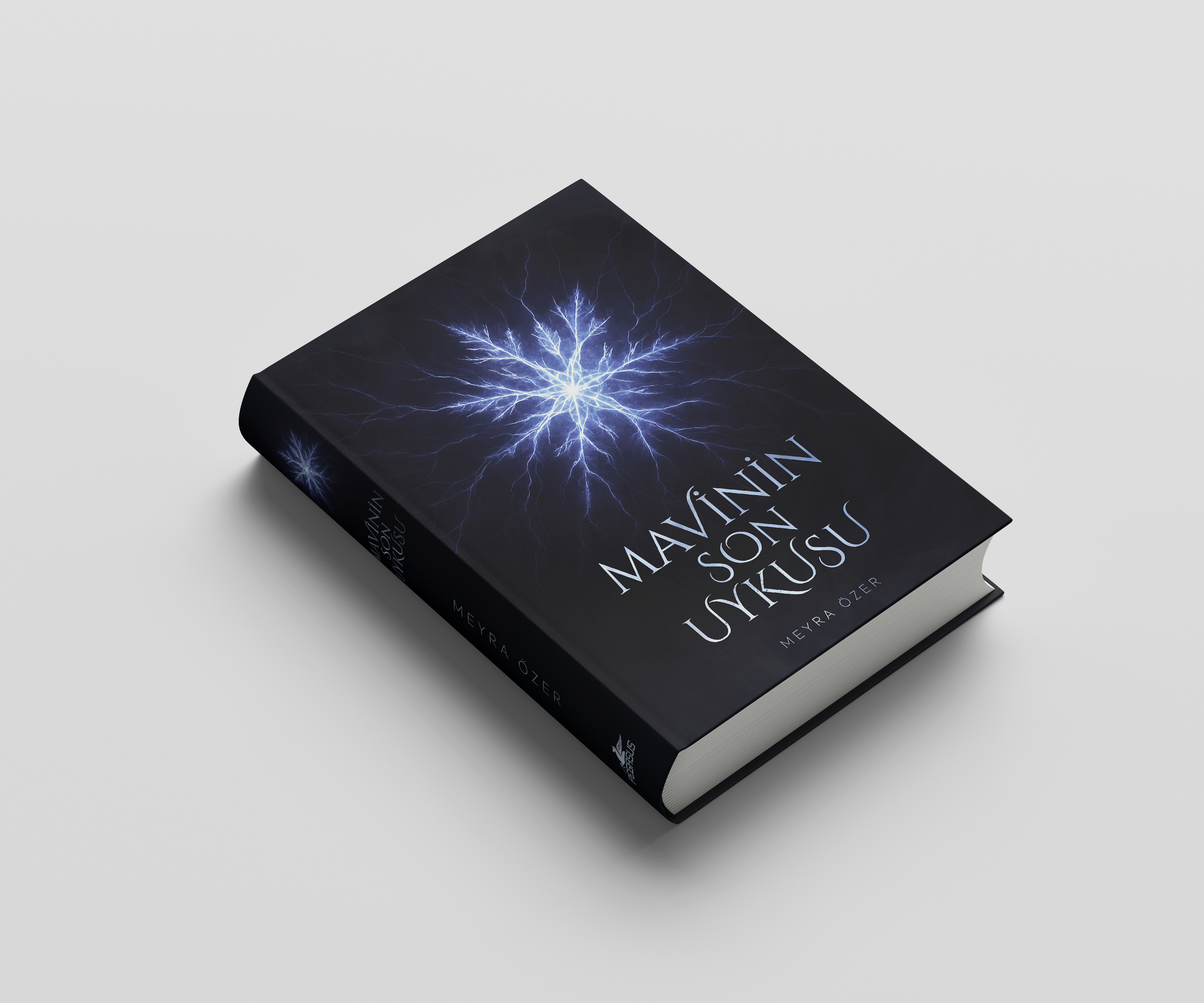 Kitap Mockup Yan
